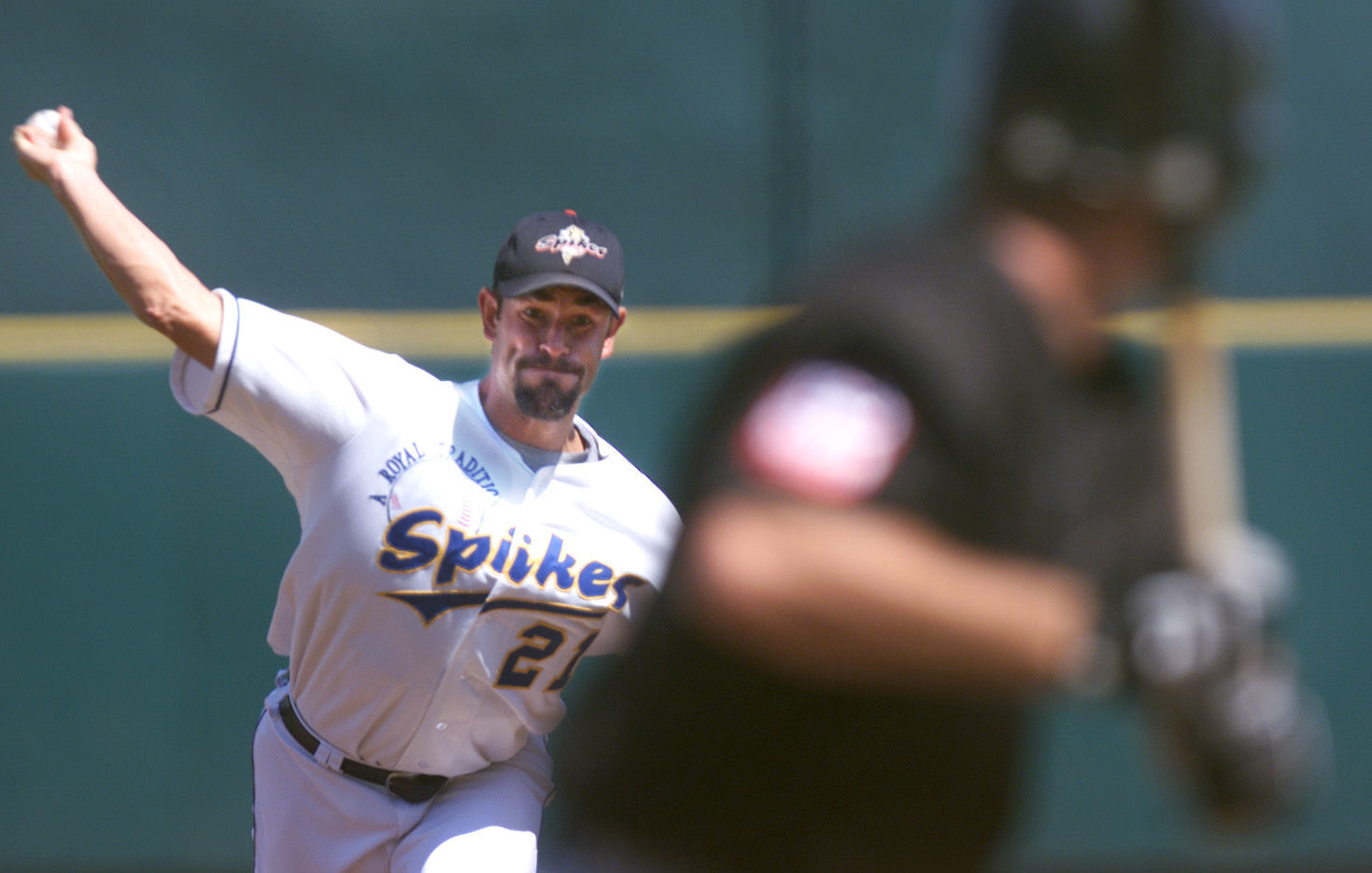 KC-GOLDENSPIKES
